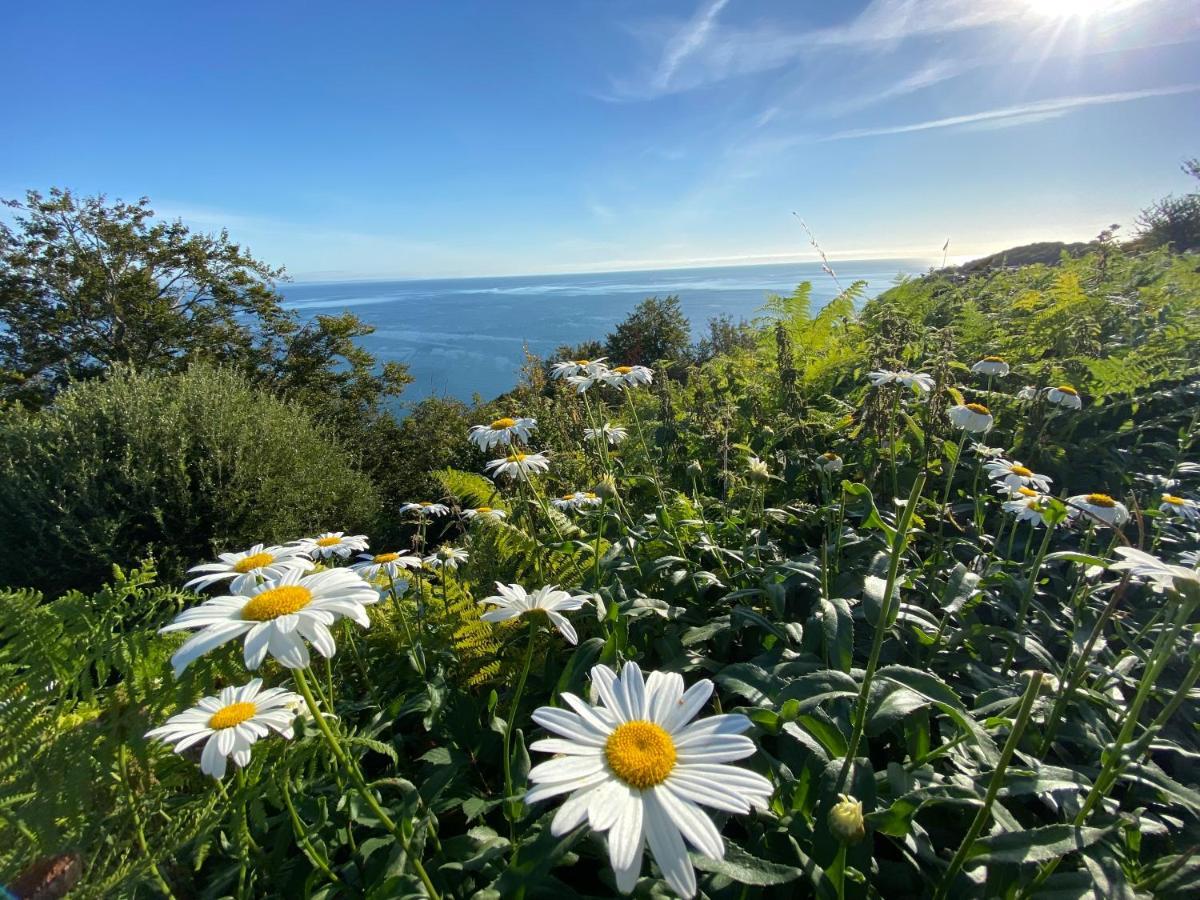 Rooms At Babbacombe Torquay Εξωτερικό φωτογραφία